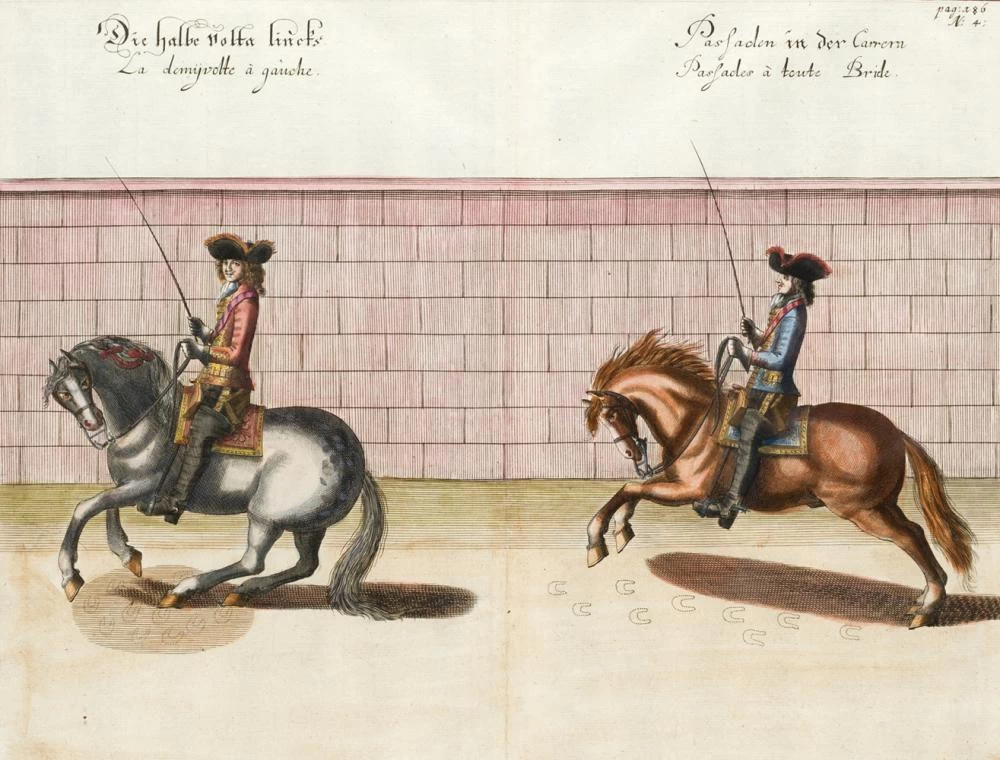 Il metodo e la nuova invenzione dei cavalli da dressage, di William Cavendish